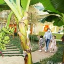 바나나어린이집 이미지