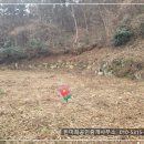 경남고성부동산 - 삼산면 바다 전망이 예쁜 산자락 토지 전원주택지매매 754제곱미터 (228) 이미지