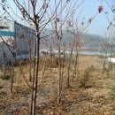 목원농장 이미지