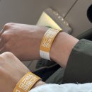 작전 캣독 동물병원 | 2026 대전 궁팡 주차 추천템 현장 이벤트