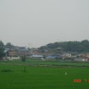 월령초등학교 이미지