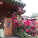 아름드리펜션 이미지