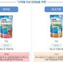 덴탈라이프 네이버블로그