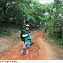 물무산행복숲둘레길 이미지