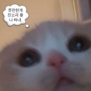 송원반점 이미지