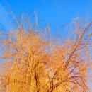 백운 여인숙 이미지