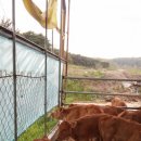 연흥농장 이미지