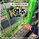 반듯 - 기장군 | 영주휀스 - 파손 구간 교체로 다시 반듯하게 잡은 시공 후기