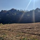 윤정희농장 이미지