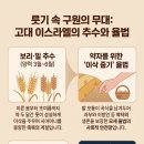황금빛 섭리의 융단_이삭줍기에서 발치의 이불까지 이미지