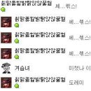 펫스티발 이미지