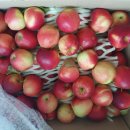 윤서농장 이미지