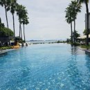 다라케이크 이미지