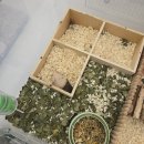 패러그린샵 명지점 | #부산 강서구 페러그린샵 방문 후기