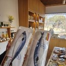 도소마을 앞 이동식화장실 | 안동 여행코스 추천 🌿 도산서원 + 예끼마을 당일치기 힐링 코스 후기