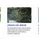 불교전시관 앞 교통섬 | 전라남도 강진, 이름의 유래와 역사, 문화유산