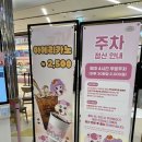 키덜트월드 | 키덜트까지 취향 저격한 티니핑월드(하츄핑, 포실핑, 꾸래핑 등)