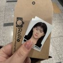 로로포토그라피 이미지