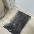 건강만세 - 남동구 구월동 | LG 온더바디 발을 씻자, 대체 어디까지 쓸수있냐고요? 빨아쓰는 규조토 발매트 제거 후기