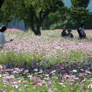 구미 공원 이미지