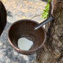 통복동 246-26 앞 | 푸켓 아이와 가볼만한 곳｜바다 말고 이런 곳은 어때? 푸켓 올드팜 체험 후기