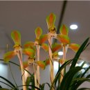 제주한란전시관 이미지