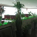 계명대학교 동문 3 이미지