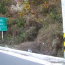 영천시 경계 도로옆 이미지