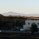 비자림베리멍