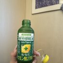 남바완돈카츠 가야점 | 후쿠오카 여행 2,3일차🇯🇵