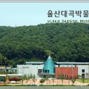 울산대곡박물관 이미지