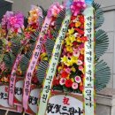 천리향한의원 이미지