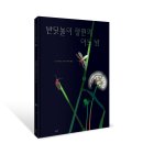 [시금치] 반딧불이 정원의 어느 밤(100세 그림책) 이미지