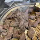강남 갈매기
