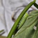 명자농장 이미지