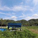 파란하늘목장 이미지