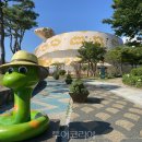 양서·파충류생태공원 아나콘다관 이미지