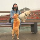 건이농장 이미지