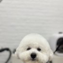 몽글몽글 - 제주시 광양8길 15-19 | 몽글몽글