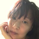 둥지여인숙 - 보령시 현대상가길 36 | 둥지여인숙