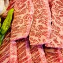 근본화로 이미지