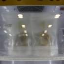 오늘도 맛있개 이미지