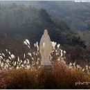 (주)성지 이미지