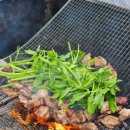 너나들이캠핑장 이미지