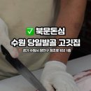 북문돈심