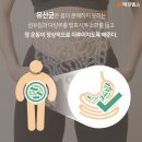 수보장 네이버블로그