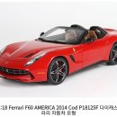 1/18 bbr, mr, 등 페라리458 스페치알레, 페라리 F60 america, fxxk등 구합니다. 이미지