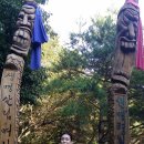 금정초교 이미지