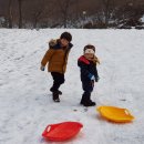 늘푸른쉼터