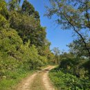 황리임중 시내버스 종점 | (코리아둘레길) 남파랑길 13코스 (NAMPARANG TRAIL Course No. 13, 2025.11.05.)